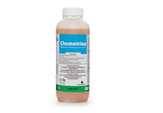 chemo