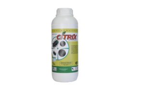 citrix