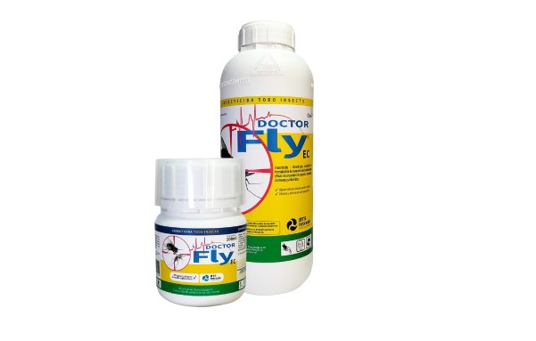 dr fly