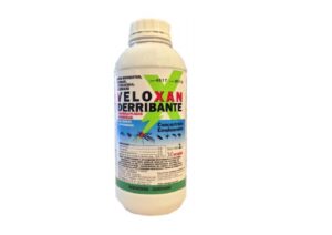 veloxan veloxan